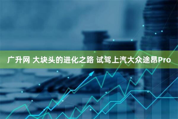 广升网 大块头的进化之路 试驾上汽大众途昂Pro