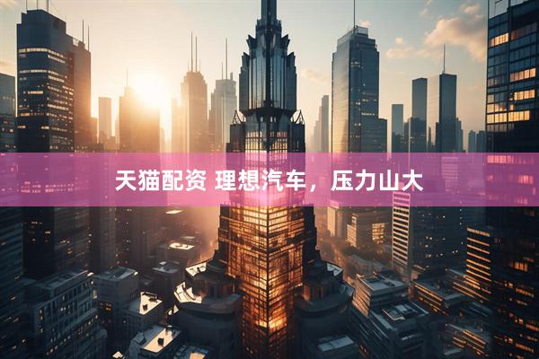 天猫配资 理想汽车，压力山大