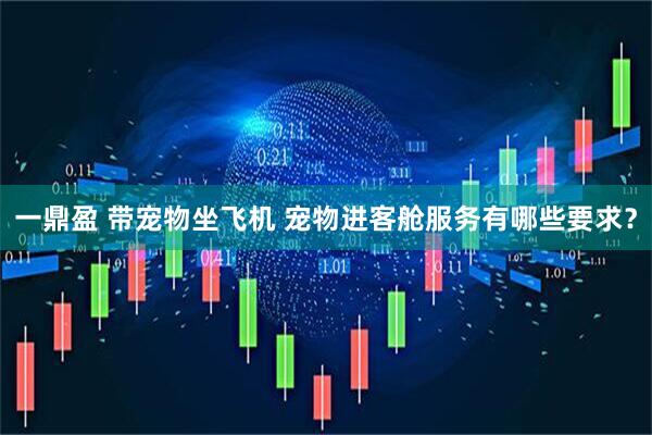 一鼎盈 带宠物坐飞机 宠物进客舱服务有哪些要求？