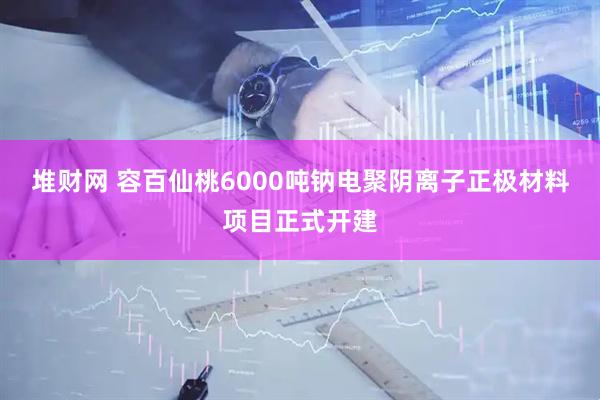 堆财网 容百仙桃6000吨钠电聚阴离子正极材料项目正式开建