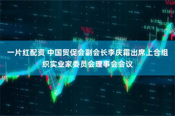 一片红配资 中国贸促会副会长李庆霜出席上合组织实业家委员会理事会会议