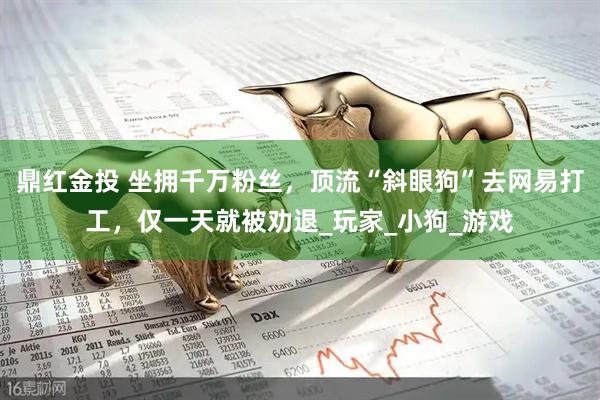 鼎红金投 坐拥千万粉丝，顶流“斜眼狗”去网易打工，仅一天就被劝退_玩家_小狗_游戏