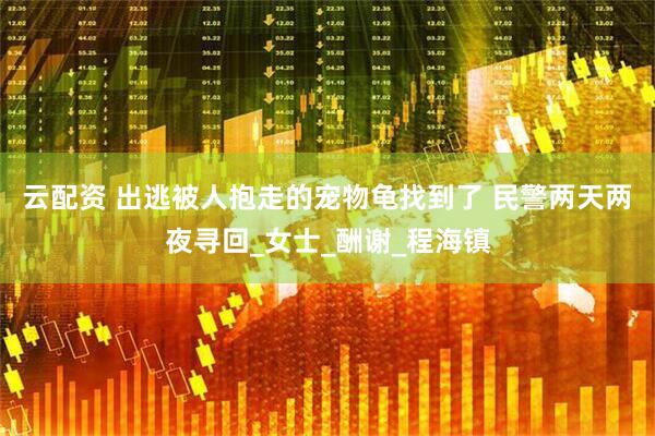 云配资 出逃被人抱走的宠物龟找到了 民警两天两夜寻回_女士_酬谢_程海镇