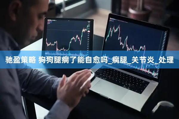驰盈策略 狗狗腿瘸了能自愈吗_瘸腿_关节炎_处理