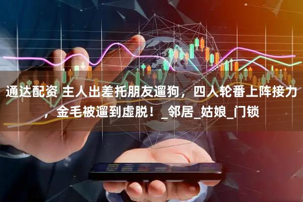 通达配资 主人出差托朋友遛狗，四人轮番上阵接力，金毛被遛到虚脱！_邻居_姑娘_门锁
