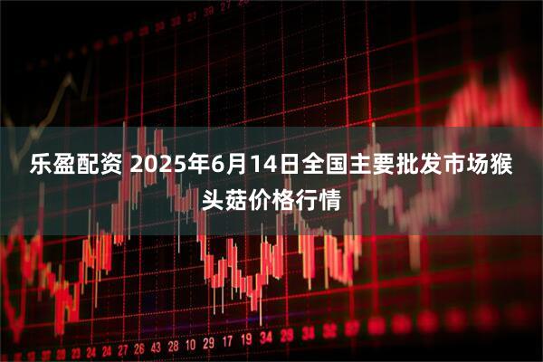 乐盈配资 2025年6月14日全国主要批发市场猴头菇价格行情