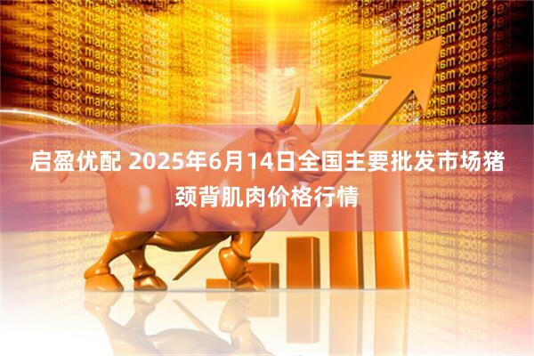 启盈优配 2025年6月14日全国主要批发市场猪颈背肌肉价格行情