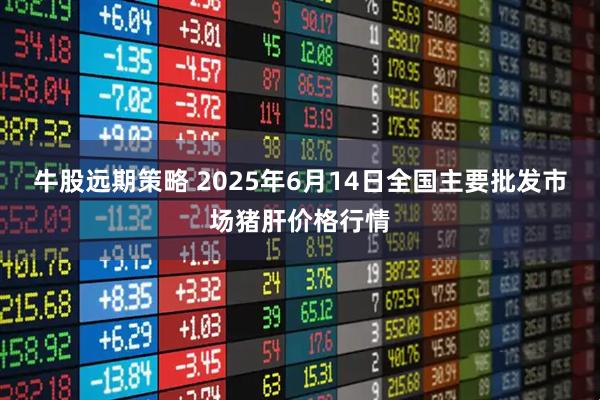牛股远期策略 2025年6月14日全国主要批发市场猪肝价格行情