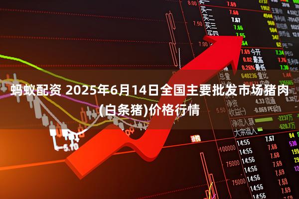 蚂蚁配资 2025年6月14日全国主要批发市场猪肉(白条猪)价格行情