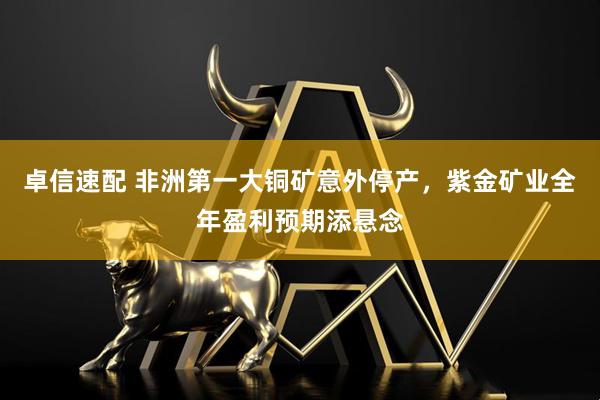 卓信速配 非洲第一大铜矿意外停产,紫金矿业全年盈利预期添悬念