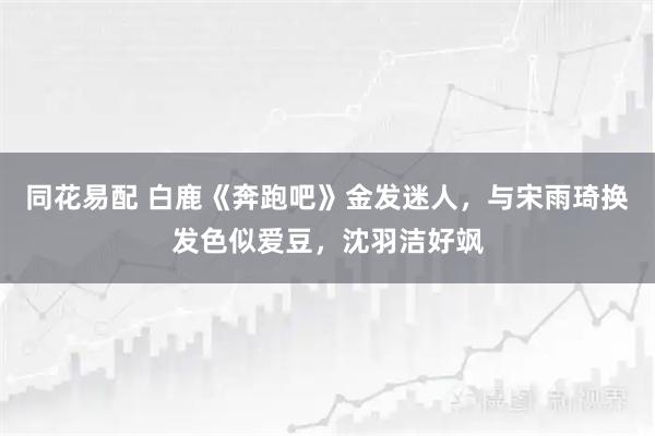 同花易配 白鹿《奔跑吧》金发迷人，与宋雨琦换发色似爱豆，沈羽洁好飒