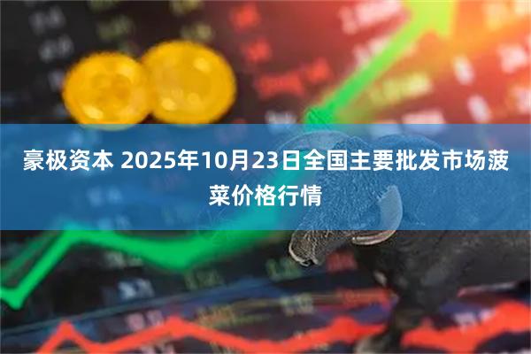 豪极资本 2025年10月23日全国主要批发市场菠菜价格行情
