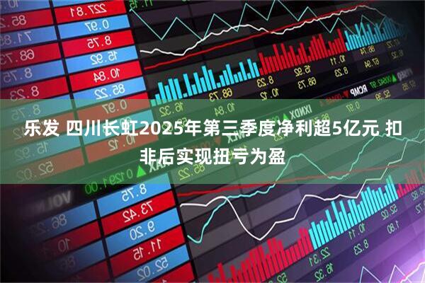 乐发 四川长虹2025年第三季度净利超5亿元 扣非后实现扭亏为盈