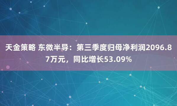 天金策略 东微半导：第三季度归母净利润2096.87万元，同比增长53.09%